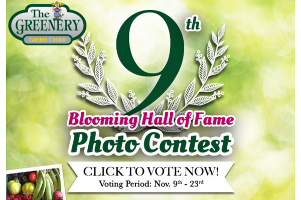 Last chance to vote in the 9th Blooming Hall of Fame