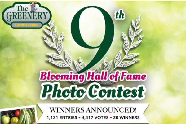 9th Blooming Hall of Fame Photo Contest Winners