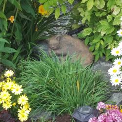 Carol Ann Boutilier