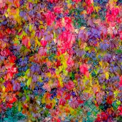Karen Smalley