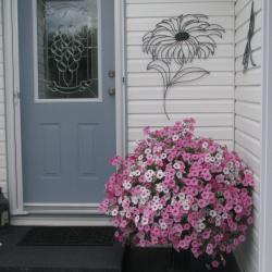 Janet Blofield