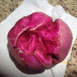 Mary (sweet Potatoe Fr.sweet Potato Vine)