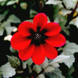 Colleen Casey