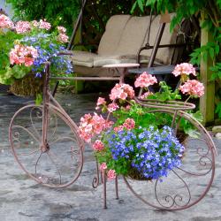 Susan Flowerdew