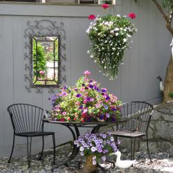 Susan Flowerdew