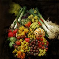 LIANE RUDOLPH