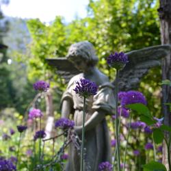 Nils Åkesson 