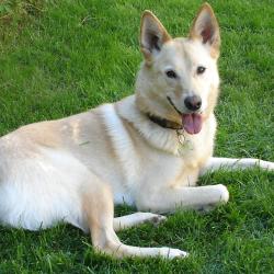 Elinor A