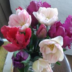 Bozena 