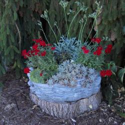 Dianne Leduc