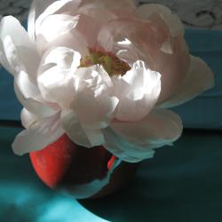 Barb Waite