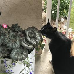 Cat Rymerson 