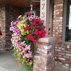 Debbie Suliak