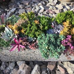 Mark Fairweather