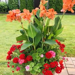 Terry Prosper
