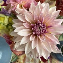 Maureen Henwood