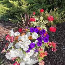 Barb Quesnel