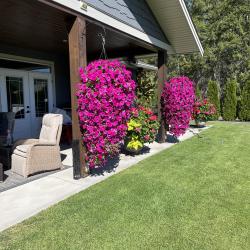 Michele Ervin