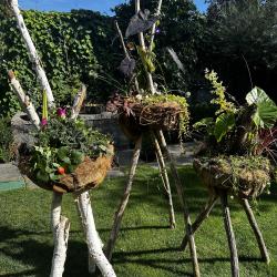Birgit De Villiers
