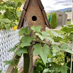 Mary Margaret Kelly 