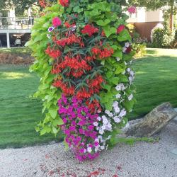 Grant Wereley