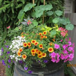 Dianne Leduc