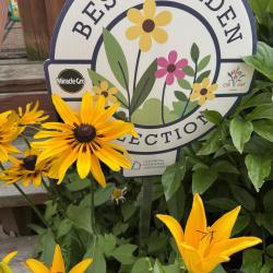 Roxzan Ito