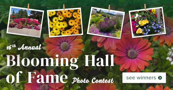Winners Announced for the 2022 Blooming Hall of Fame!