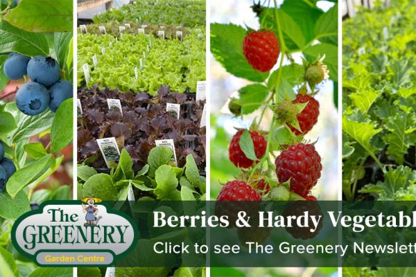 Berries, Hardy Vegetables, And Seed Potatoes
