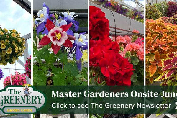 Ask an Okanagan Master Gardener!