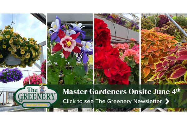 Ask an Okanagan Master Gardener!