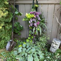 Best Foliage & Tropical Planter/Hanging Basket