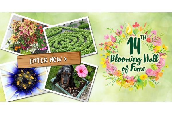 2020 Garden Photo Contest - Enter Now!