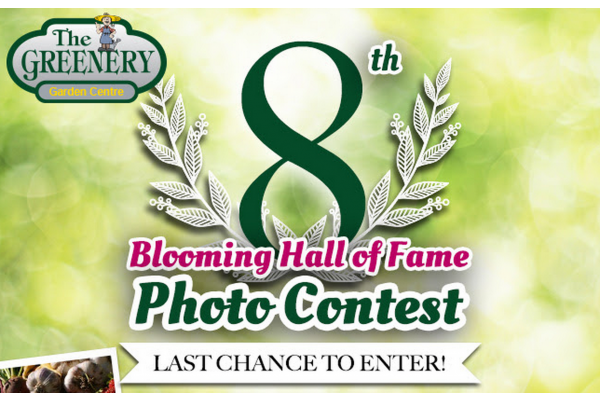 2 Days Left to Enter Our Flower Photo Contest!