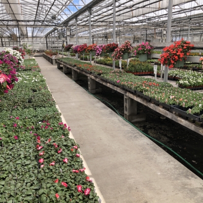 Greenery Garden Centre-Kelowna-Nursery-Greenhouse-Rows of Flowers